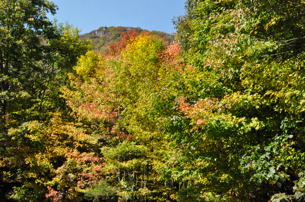 fall colors in Banner Elk